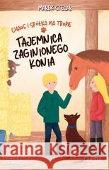 Chaos i spółka na tropie. Tajemnica zaginionego.. Marek Stelar 9788383574189 Frajda - książka