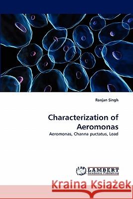 Characterization of Aeromonas Ranjan Singh 9783843378185 LAP Lambert Academic Publishing - książka