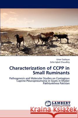 Characterization of CCPP in Small Ruminants Sadique, Umer 9783659210440 LAP Lambert Academic Publishing - książka
