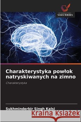 Charakterystyka powlok natryskiwanych na zimno Kalsi, Sukhminderbir Singh 9786209038396 Wydawnictwo Nasza Wiedza - książka