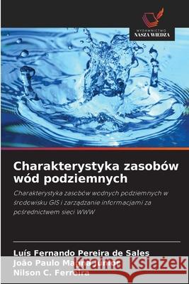 Charakterystyka zasobów wód podziemnych Pereira de Sales, Luís Fernando, Magna Júnior, João Paulo, Ferreira, Nilson C. 9786207481170 Wydawnictwo Nasza Wiedza - książka
