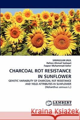 Charcoal Rot Resistance in Sunflower Sanaullah Jalil, Hafeez Ahmad Sadaqat, Faqeer Muhammad Azher 9783844315431 LAP Lambert Academic Publishing - książka