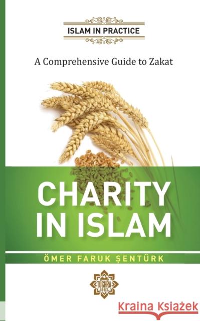 Charity in Islam Omer Faruk Senturk 9781597849203 Tughra Books - książka