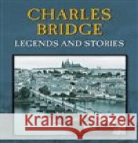 Charles Bridge /Plot/ Magdalena Wagnerová 9788074284885 Plot - książka