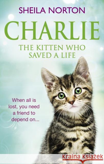 Charlie the Kitten Who Saved a Life Sheila Norton 9781785034190 Ebury Press - książka