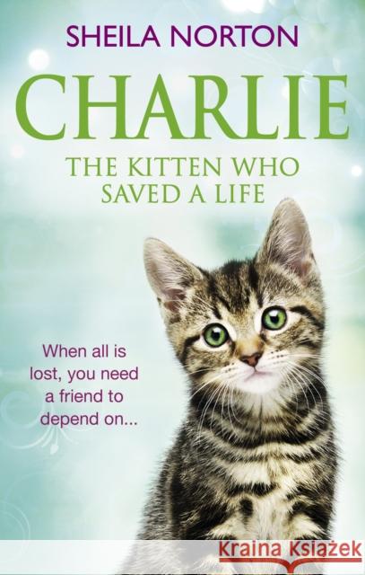 Charlie the Kitten Who Saved A Life Sheila Norton 9781785034190 Ebury Publishing - książka