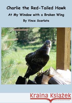 Charlie the Red-Tailed Hawk: At My Window With a Broken Wing Scarlata, Vince 9781517484064 Createspace - książka