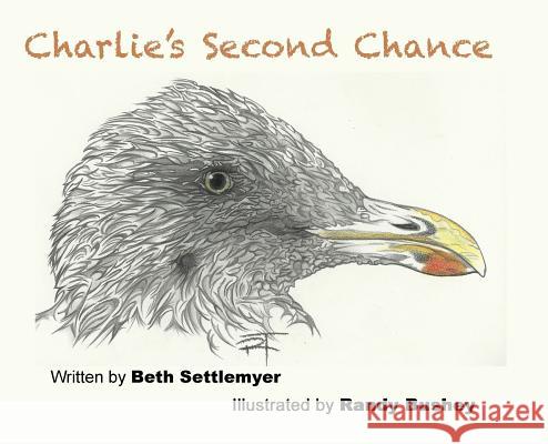 Charlie's Second Chance Beth M Settlemyer, Randy T Bushey 9781549732928 Raven Wings Publishing - książka