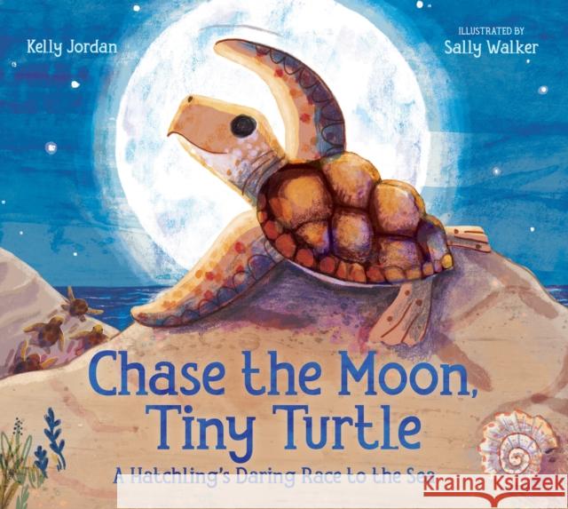 Chase the Moon, Tiny Turtle: A Hatchling's Daring Race to the Sea Kelly Jordan Sally Walker 9781645671527 Page Street Kids - książka