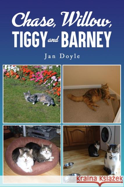 Chase, Willow, Tiggy and Barney Jan Doyle 9781035846603 Austin Macauley Publishers - książka
