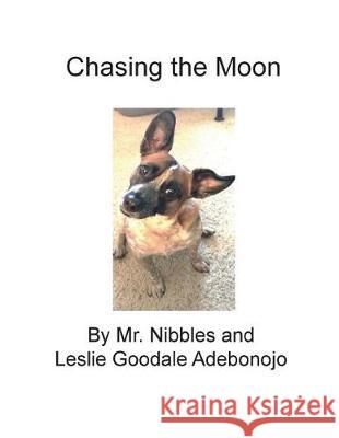 Chasing the Moon Leslie Goodale Adebonojo Mr Nibbles 9780997874655 Spring Knoll Press - książka
