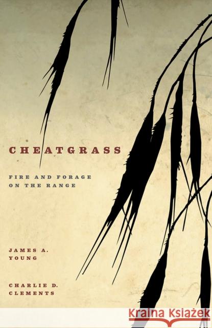 Cheatgrass: Fire and Forage on the Range James A. Young Charlie D. Clements 9780874177657 University of Nevada Press - książka