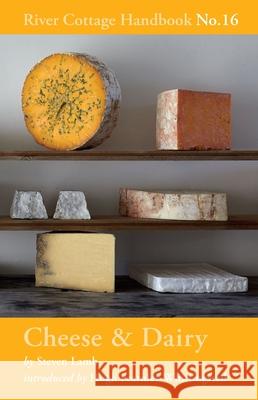 Cheese & Dairy: River Cottage Handbook No.16 Steven Lamb 9781408873472 Bloomsbury Publishing PLC - książka