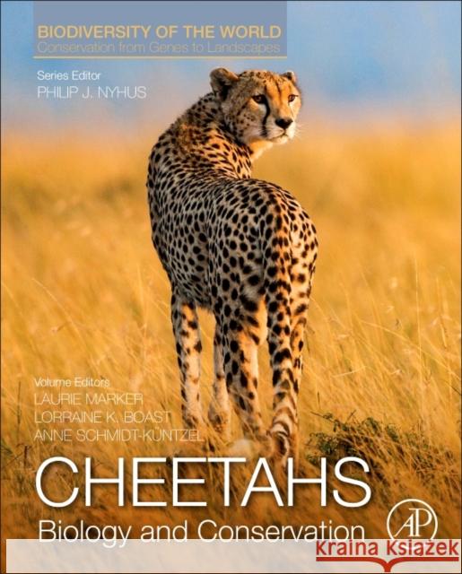 Cheetahs: Biology and Conservation: Biodiversity of the World: Conservation from Genes to Landscapes Nyhus, Philip J. 9780128040881 Academic Press - książka