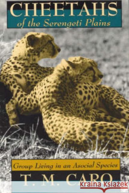 Cheetahs of the Serengeti Plains: Group Living in an Asocial Species Caro, Tim 9780226094342 University of Chicago Press - książka