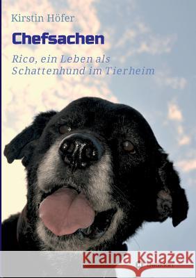 Chefsachen: Rico - ein Leben als Schattenhund im Tierheim Boam, Heike 9783734500893 Tredition Gmbh - książka