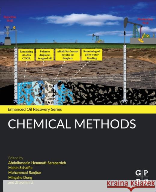 Chemical Methods Abdolhossein Hemmat Mahin Schaffie Mohammad Ranjbar 9780128219317 Gulf Professional Publishing - książka