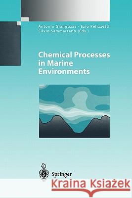 Chemical Processes in Marine Environments Antonio Gianguzza Ezio Pelizzetti Silvio Sammartano 9783642085895 Springer - książka