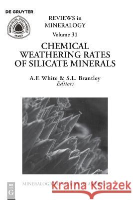 Chemical Weathering Rates of Silicate Minerals Arthur F. White, Susan L. Brantley 9780939950386 de Gruyter - książka