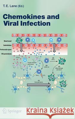Chemokines and Viral Infection Thomas E. Lane 9783540292074 Springer-Verlag Berlin and Heidelberg GmbH &  - książka