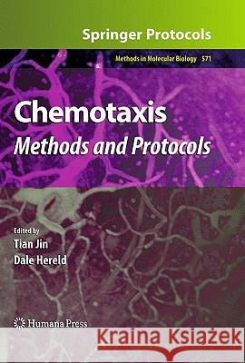 Chemotaxis: Methods and Protocols Jin, Tian 9781607611974 Humana Press - książka