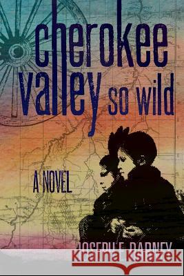Cherokee: Valley So Wild Joseph E. Dabney Jaqueline Baxter 9780980010879 Bilbo Books - książka