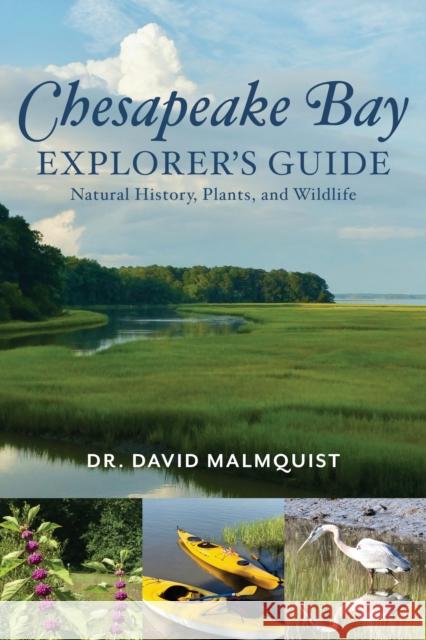 Chesapeake Bay Explorer's Guide: Natural History, Plants, and Wildlife Dr Malmquist, David 9781493051335 Globe Pequot Press - książka