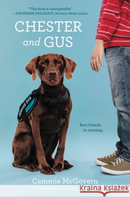 Chester and Gus Cammie McGovern 9780062330680 HarperCollins - książka