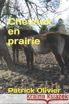 Chevaux en prairie Patrick Olivier 9782960213881 Afnil - książka