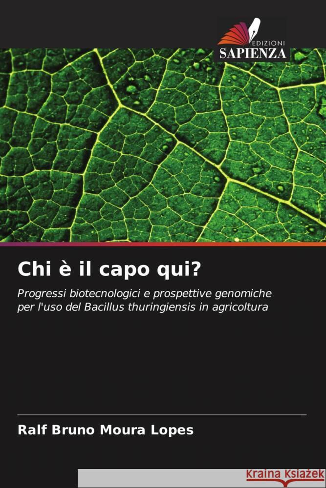 Chi è il capo qui? Moura Lopes, Ralf Bruno 9786208310882 Edizioni Sapienza - książka