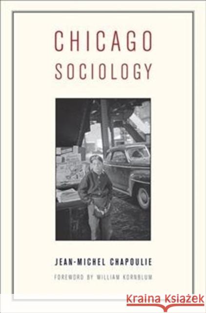 Chicago Sociology Jean-Michel Chapoulie Caroline Wazer William Kornblum 9780231182508 Columbia University Press - książka