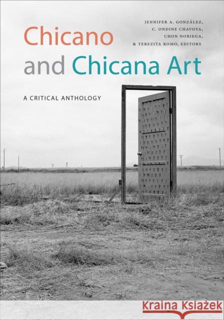 Chicano and Chicana Art: A Critical Anthology Jennifer A. Gonzalez Ondine Chavoya Chon Noriega 9781478001874 Duke University Press - książka