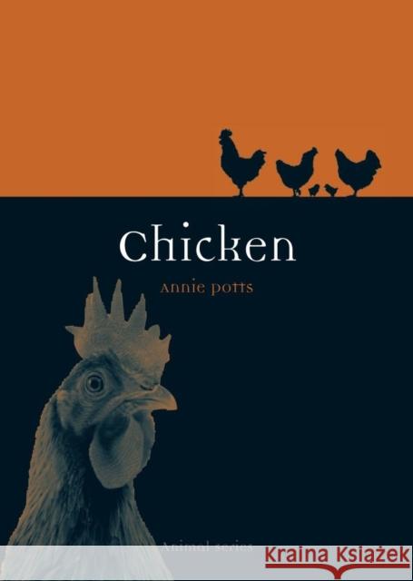 Chicken Annie Potts 9781861898586  - książka