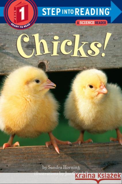 Chicks! Sandra Horning Jon Goodell 9780307932211 Random House Books for Young Readers - książka