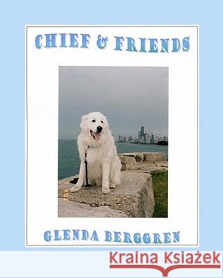 Chief & Friends Glenda Berggren 9781461028819 Createspace - książka