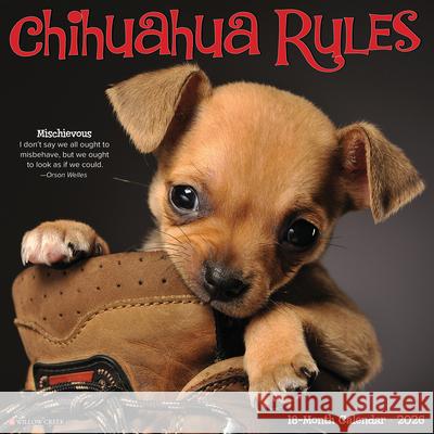 Chihuahua Rules 2026 12 X 12 Wall Calendar Willow Creek Press 9781549250682 Willow Creek Press Calendars - książka