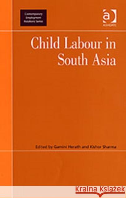 Child Labour in South Asia  9780754670049 Ashgate Publishing Limited - książka