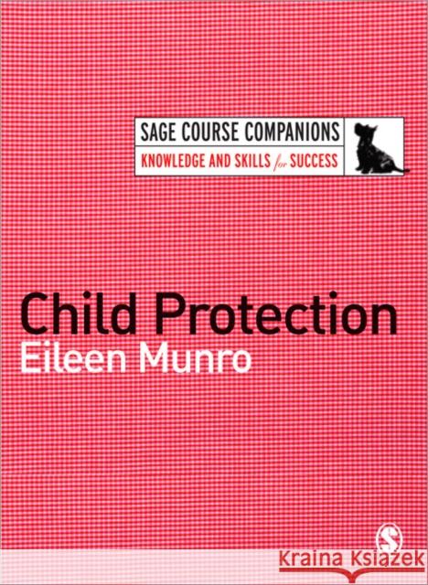 Child Protection E Munro 9781412911795  - książka