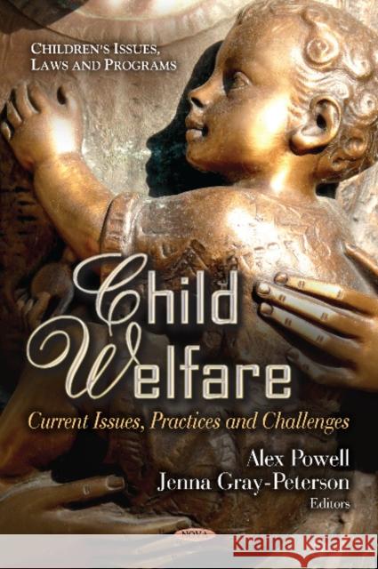 Child Welfare: Current Issues, Practices & Challenges Alex Powell, Jenna Gray-Peterson 9781622578269 Nova Science Publishers Inc - książka