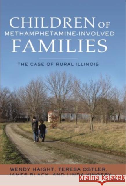 Children of Methamphetamine-Involved Families: The Case of Rural Illinois Haight, Wendy 9780195326055 Oxford University Press, USA - książka