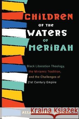 Children of the Waters of Meribah Allan Aubrey Boesak 9781532656712 Cascade Books - książka