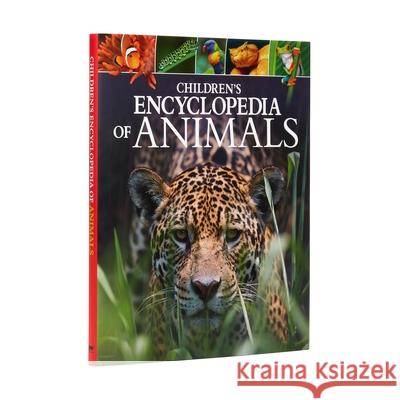 Children's Encyclopedia of Animals Dr Michael Leach Dr Meriel Lland 9781788285063 Arcturus Publishing - książka