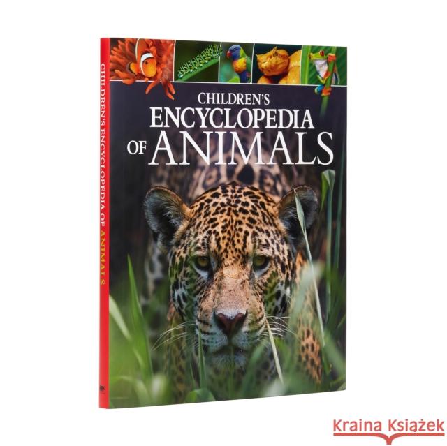 Children's Encyclopedia of Animals: Take a Walk on the Wild Side! Dr Meriel Lland 9781784288143 Arcturus Publishing Ltd - książka