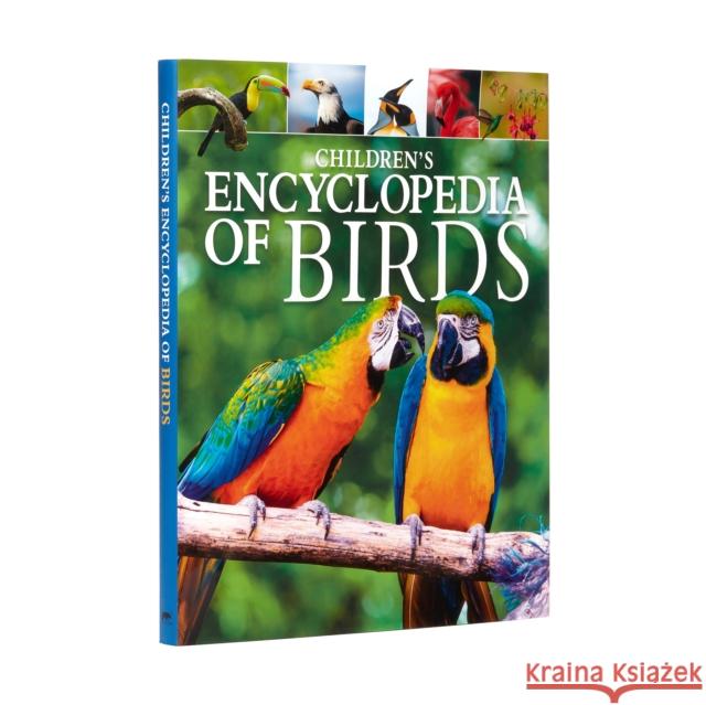 Children's Encyclopedia of Birds Claudia Martin 9781789503616 Arcturus Publishing Ltd - książka