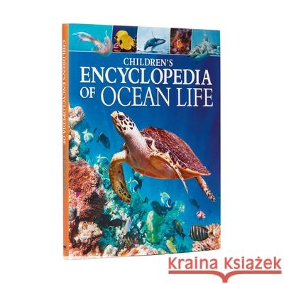 Children's Encyclopedia of Ocean Life Claudia Martin 9781789506013 Arcturus Publishing - książka