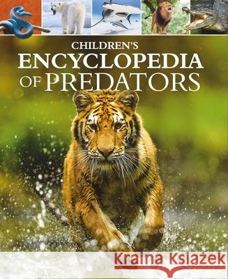 Children's Encyclopedia of Predators Alex Woolf Claire Philip 9781398814592 Arcturus Editions - książka