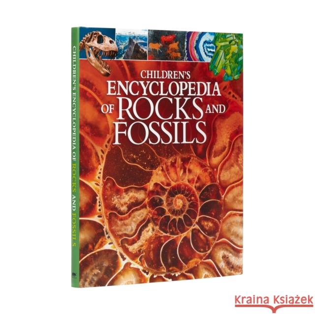 Children's Encyclopedia of Rocks and Fossils Claudia Martin 9781788885362 Arcturus Publishing Ltd - książka