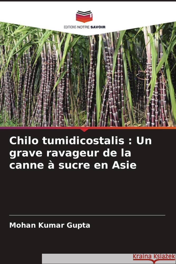 Chilo tumidicostalis : Un grave ravageur de la canne à sucre en Asie Gupta, Mohan Kumar 9786204692494 Editions Notre Savoir - książka