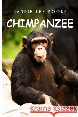 Chimpanzee - Sandie Lee Books Curious Kids Press 9781494998936 Createspace - książka