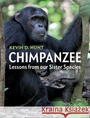 Chimpanzee: Lessons from Our Sister Species Kevin D. Hunt 9781107118591 Cambridge University Press - książka